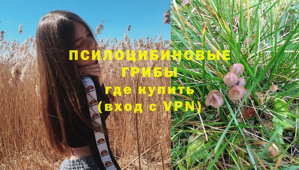 MESCALINE Алексеевка